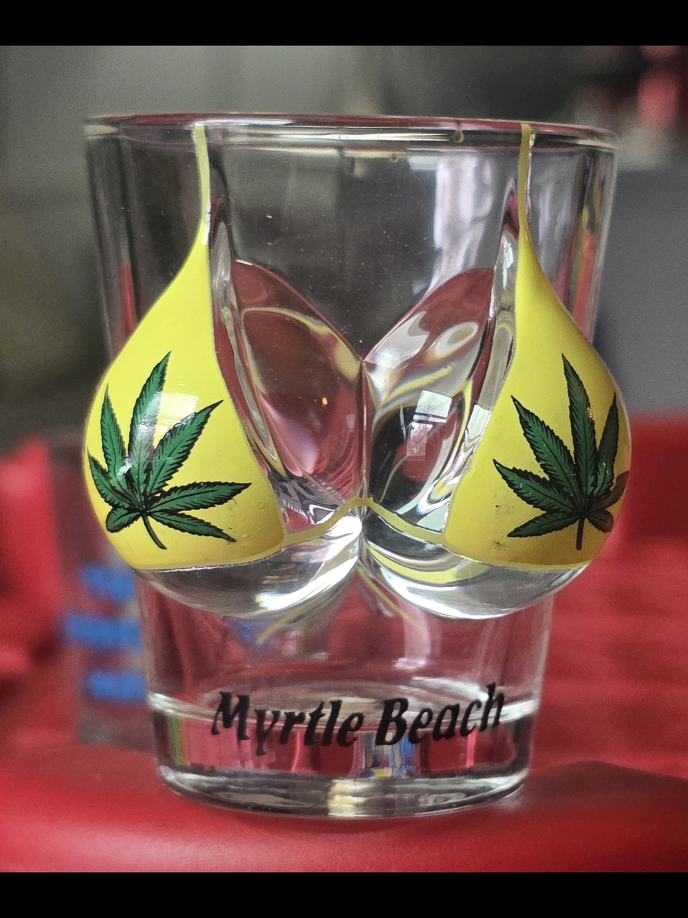 Neon Ombré Shot Glasses Set - Yellow Pink & Green Blue MYRTLE BEACH 4 PIECES